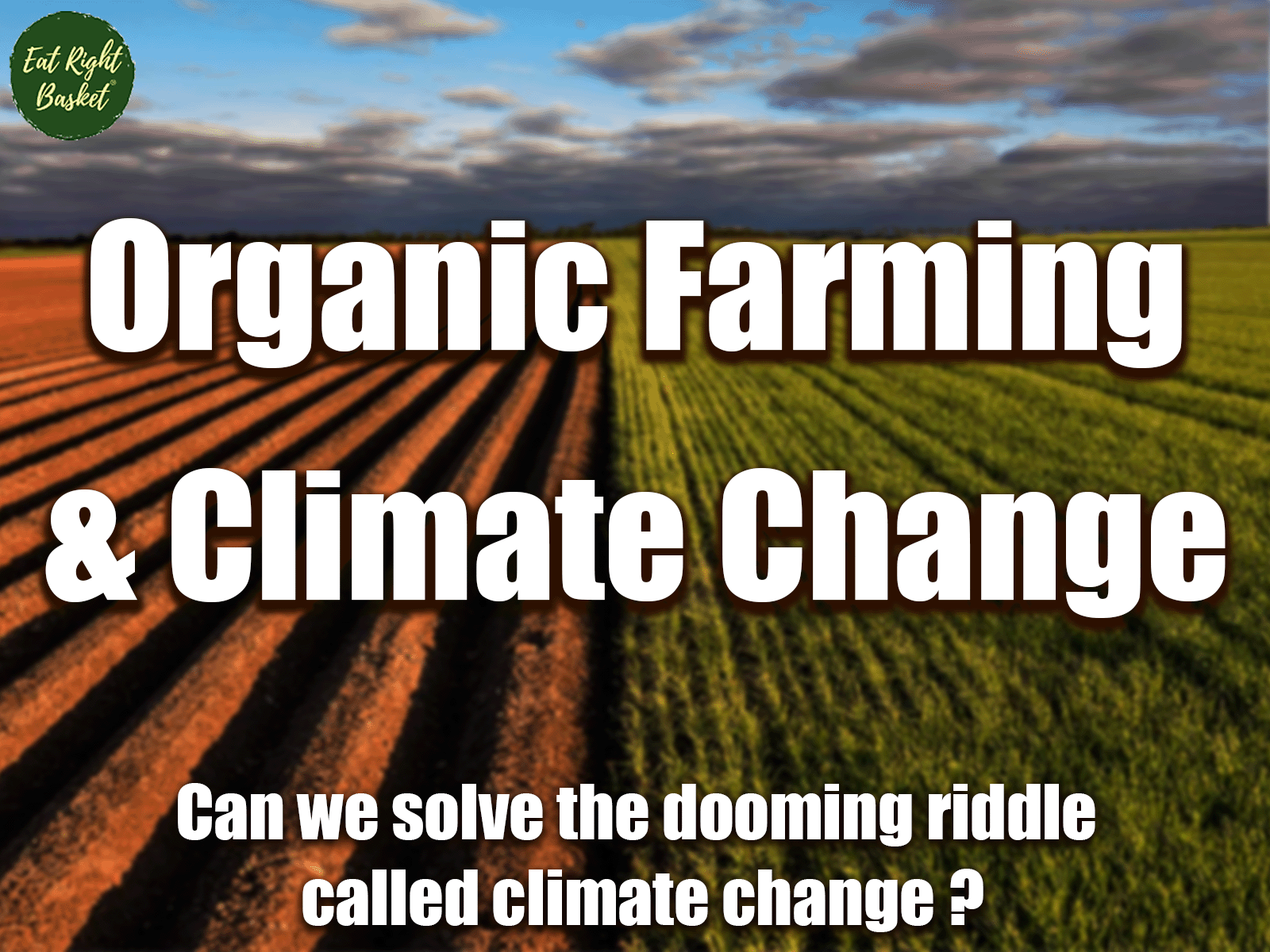 Organic Agriculture – Healthy for you & the Planet!