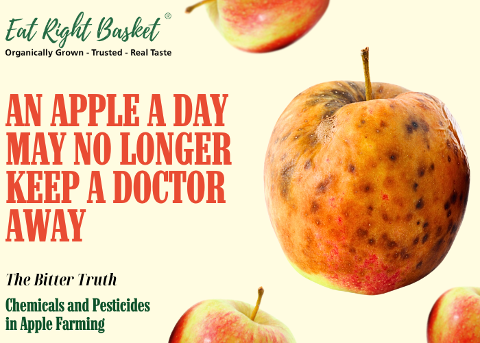 The Bitter Truth: Chemicals and Pesticides in Apple Farming