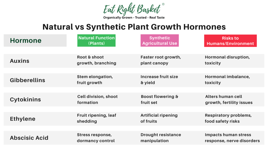 Natural vs Synthetic Plant Growth Hormones
