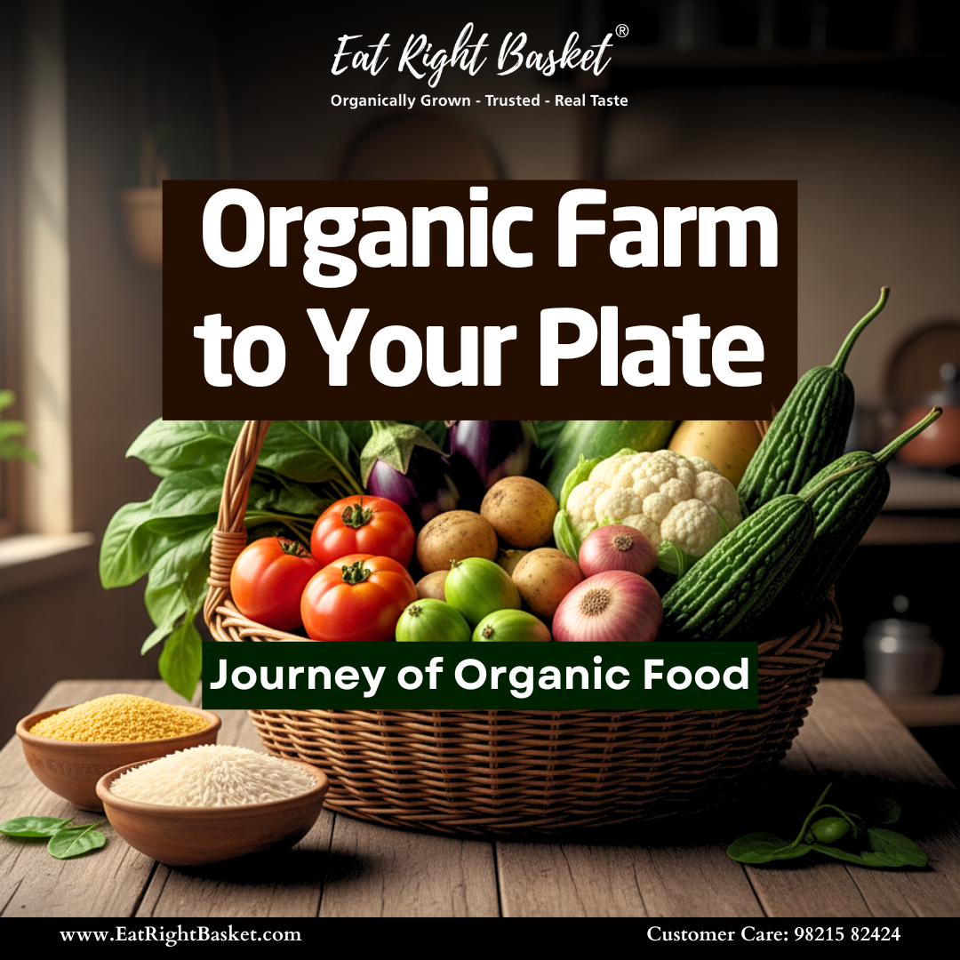 From Farm to Your Plate: The Journey of Organic Food with Eat Right Basket