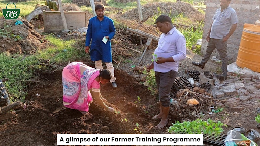 Organic Vegetables in Noida