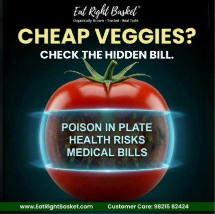 Cost Comparison: Organic vs. Non-Organic Vegetables in Delhi/NCR (Delhi, Noida, Gurgaon)