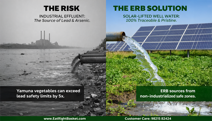 The Toxic Truth Behind Delhi