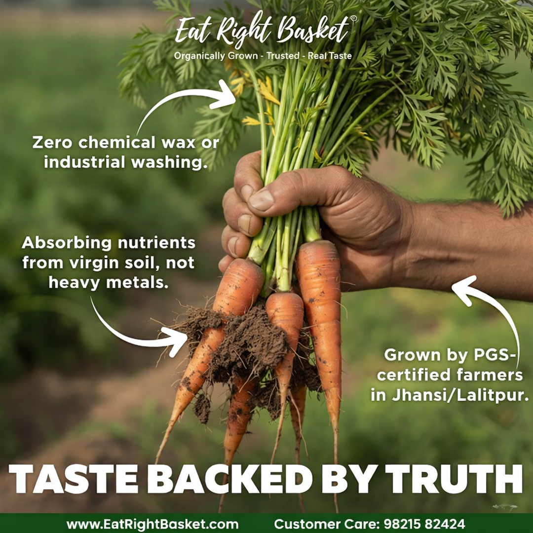 The Toxic Truth Behind Delhi