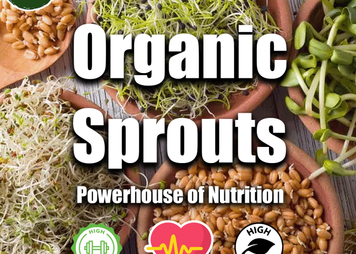 Monsoon Wellness: The Health Benefits of Organic Sprouts from Eat Right Basket