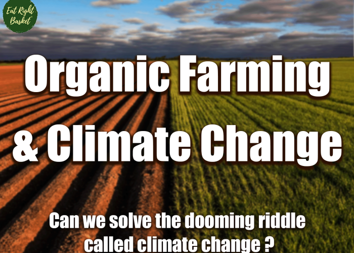 Organic Agriculture – Healthy for you & the Planet!