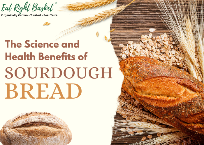 The Science and Health Benefits of Sourdough Bread