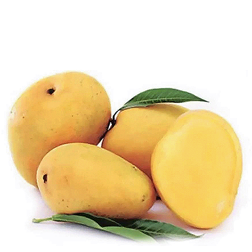 Mango - Badami (1 Kg) - Vitamin C - EatRightBasket.com